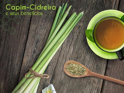 Capim-Cidreira e seus Benefícios